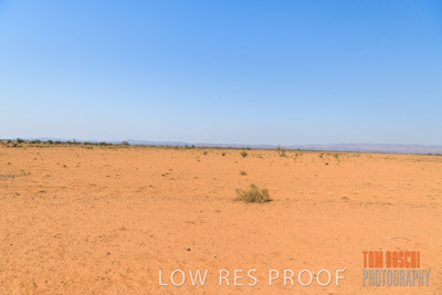 January 2020 / DROUGHT_3108