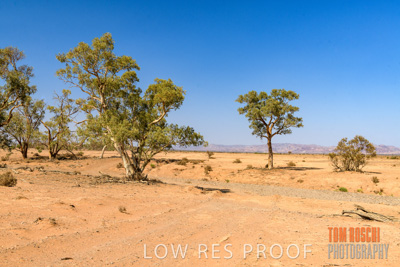 January 2020 / DROUGHT_3111