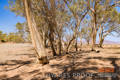 January 2020 / DROUGHT_3112