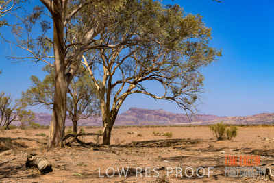 January 2020 / DROUGHT_3114