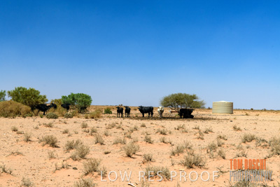 January 2020 / DROUGHT_3117