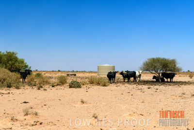 January 2020 / DROUGHT_3118