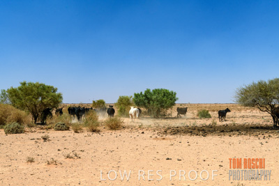 January 2020 / DROUGHT_3119