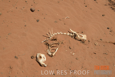 January 2020 / DROUGHT_3120