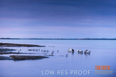 July 2013 / FISHING_609