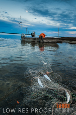 July 2013 / FISHING_614
