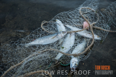 July 2013 / FISHING_619