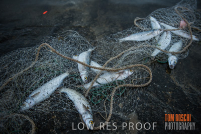 July 2013 / FISHING_620