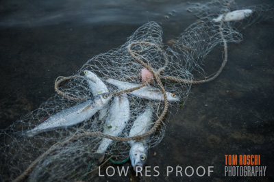 July 2013 / FISHING_621