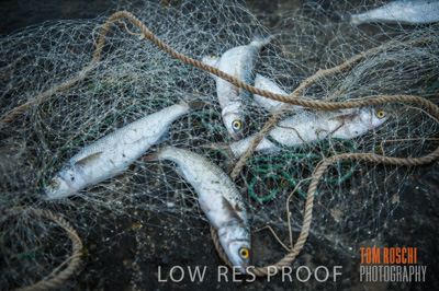 July 2013 / FISHING_622