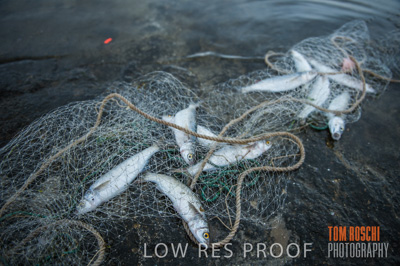 July 2013 / FISHING_623