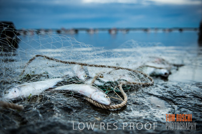 July 2013 / FISHING_624