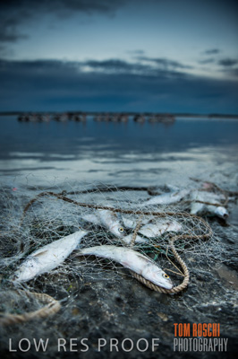 July 2013 / FISHING_625