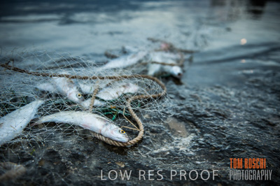 July 2013 / FISHING_626