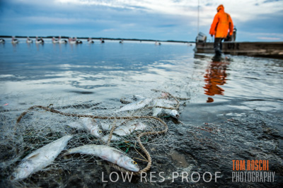 July 2013 / FISHING_627