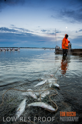 July 2013 / FISHING_630