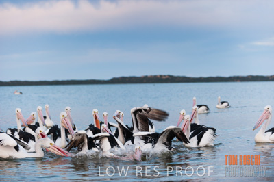 July 2013 / FISHING_633