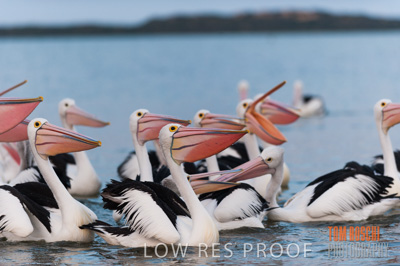 July 2013 / FISHING_634