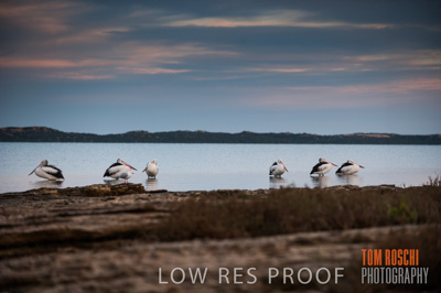 July 2013 / FISHING_635