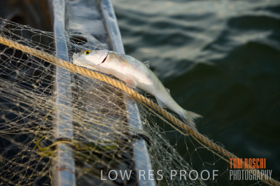 July 2013 / FISHING_637