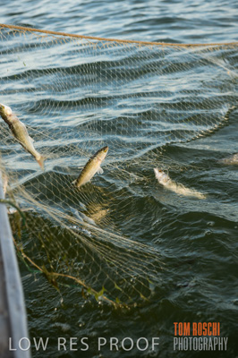 July 2013 / FISHING_638