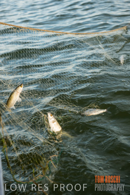 July 2013 / FISHING_639