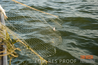 July 2013 / FISHING_640