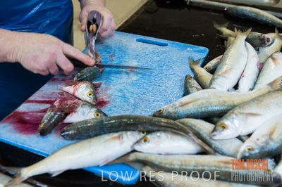 July 2013 / FISHING_643