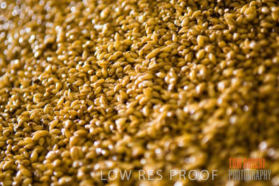 October 2006 / GRAIN_003