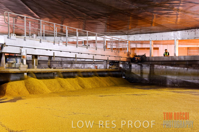 October 2006 / GRAIN_006