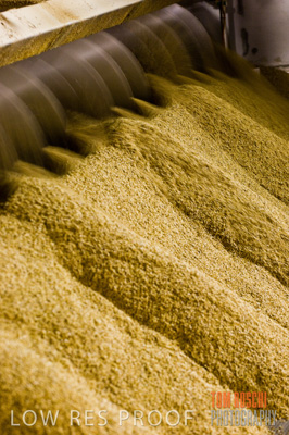 October 2006 / GRAIN_008