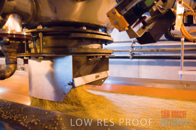 October 2006 / GRAIN_009