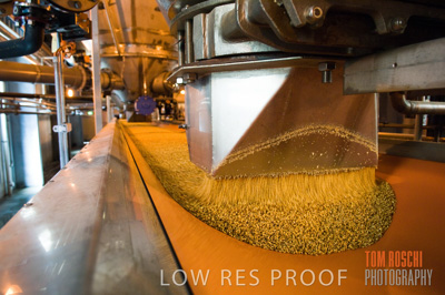 October 2006 / GRAIN_010