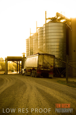 October 2006 / GRAIN_011