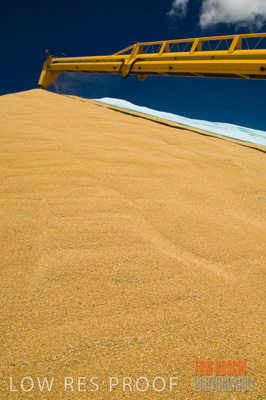 December 2007 / GRAIN_276