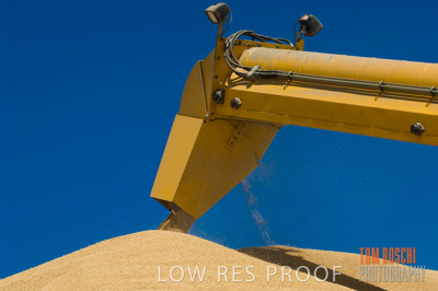 December 2007 / GRAIN_277