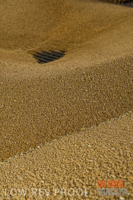 December 2007 / GRAIN_278