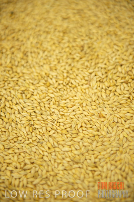 March 2014 / GRAIN_802