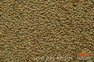 March 2014 / GRAIN_803