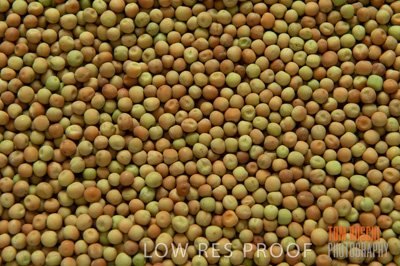 March 2014 / GRAIN_804