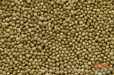 March 2014 / GRAIN_806