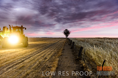 December 2016 / GRAIN_HARVEST_1199