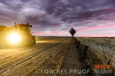 December 2016 / GRAIN_HARVEST_1201