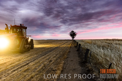 December 2016 / GRAIN_HARVEST_1202