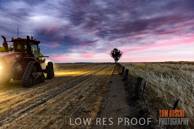 December 2016 / GRAIN_HARVEST_1203