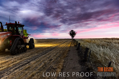 December 2016 / GRAIN_HARVEST_1204