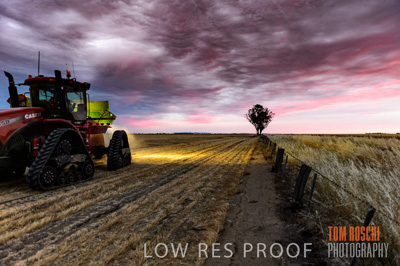 December 2016 / GRAIN_HARVEST_1205