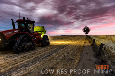 December 2016 / GRAIN_HARVEST_1206