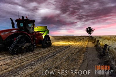 December 2016 / GRAIN_HARVEST_1207