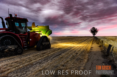 December 2016 / GRAIN_HARVEST_1208